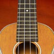 Icon of program: Ukulele Companion
