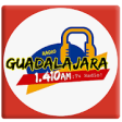 Icon of program: Radio Guadalajara 1.410 A…