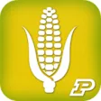 Icon of program: Corn Field Scout
