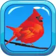 Icon of program: Bird Noises