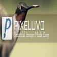 Icono de programa: Pixeluvo