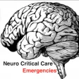 Icon of program: Neuro Critical Care Emerg…