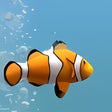 Icono de programa: Marine Aquarium Time