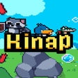 Icon of program: Kinap