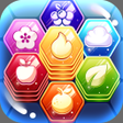 Icon of program: Stackagon: Hexa Puzzle