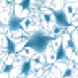 Icon of program: Spice-Neuro