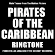 Icon of program: Pirates of The Caribbean
