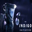 Icon of program: The INDIGO Initiative