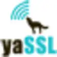 Icon of program: wolfSSL