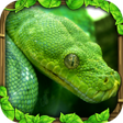 Icon of program: Snake Simulator