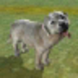 Icono de programa: Sheepdog Simulator