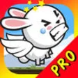 Icon of program: A Pet Super Bunny Rabbit …
