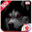Husky Dog Wallpapers Siberian Husky Dog background icon