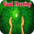 Icono de programa: Good Morning Love