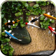 Icono de programa: Koi Live Wallpaper