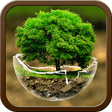 Icono de programa: 2018HD Green Nature Carto…