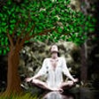 Living the Dream - Relaxation and Meditation icon