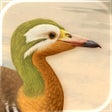Icon of program: Art of Fauna: Nature Puzz…