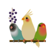 Icon of program: Adorable Birds Emoij Stic…
