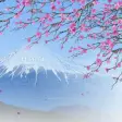 Icon of program: Japan Spring Screensaver