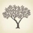 Icon of program: Bible Genealogy