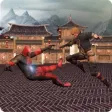 Icon of program: Superheroes Vs Kungfu Fig…