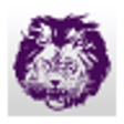 Icono de programa: Central Lyon CSD