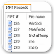 Icon of program: NTFSWalker