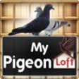 Icon of program: My Pigeon Loft HD