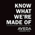 Icon of program: Aveda Congress