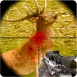 Icon of program: Deer Hunter 2018