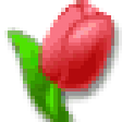 Icon of program: 4WomenOnly