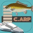 Icon of program: C.ARP