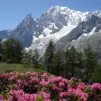 Icon of program: Relax Mountain ~ Nature s…