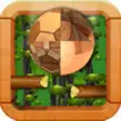 Icon of program: The Jungle Fall Down 3D C…