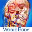 Icono de programa: Human Anatomy Atlas SP