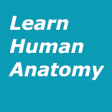 Icon of program: Learn Human Anatomy (Huma…