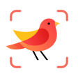 Icon of program: Picture Bird - Bird Ident…