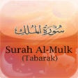 Icon of program: AlMulk - The Sovereignty