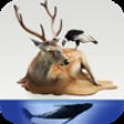 Icon of program: Atlas: Birds, Sea Animals…