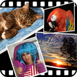 Icon of program: Gallery Free Live Wallpap…