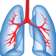 Icono de programa: Breaths & Lung Sounds