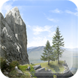 Icono de programa: Nature Live Wallpaper