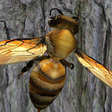 Icon of program: Bee Nest Simulator 3D - I…