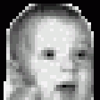DiscBuild icon