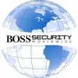 Icon of program: Boss Security