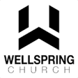 Icon of program: Wellspring NJ