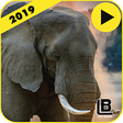 Icon of program: Animal documentaries onli…