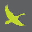Icon of program: Eddie Bauer
