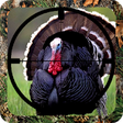 Icono de programa: Turkey Hunt Calls